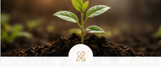 برنامج إنعاش المطاعم